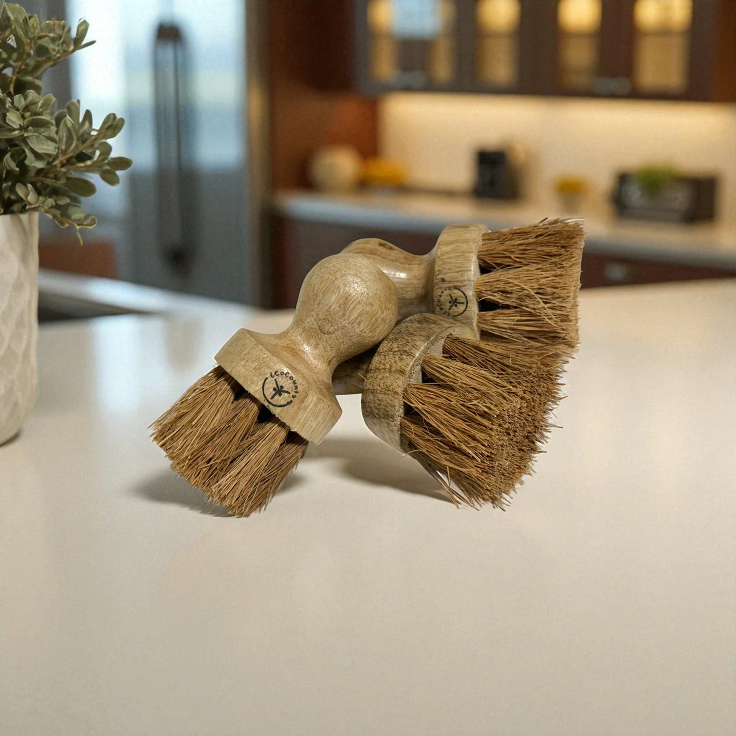 Coir Dish Brush - Pack of 3
