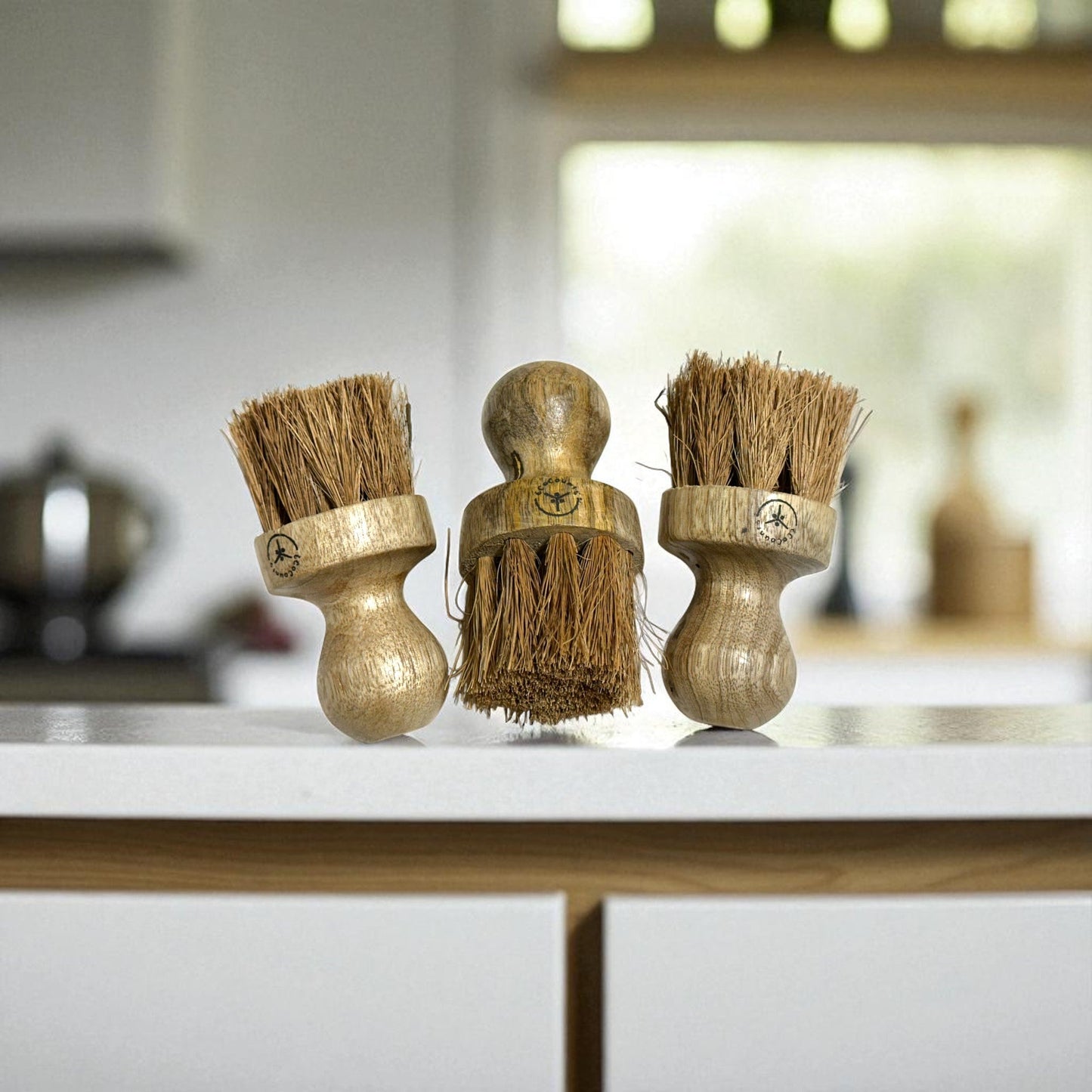 Coir Dish Brush - Pack of 3