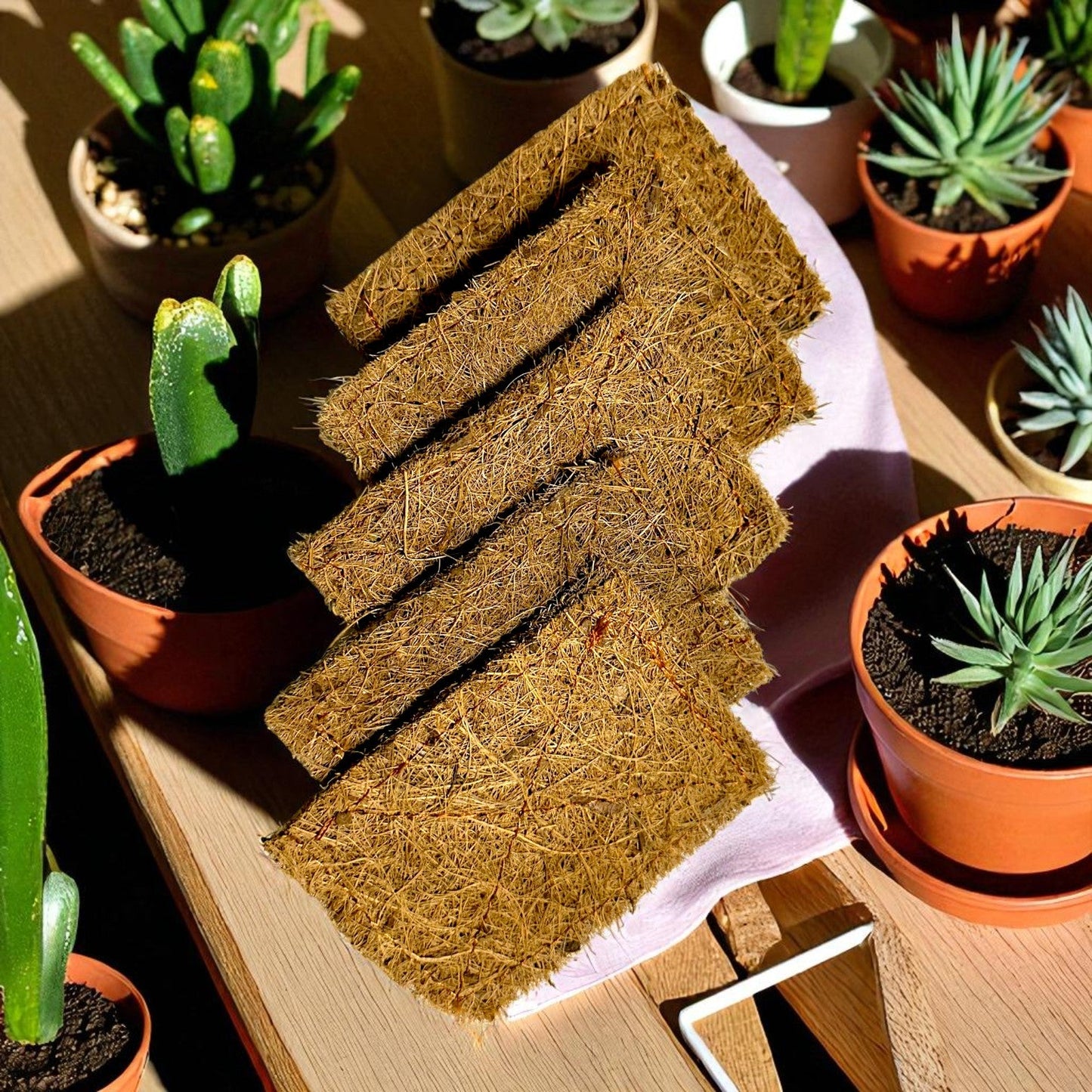 Coir Scrub Pad - Pack of 5