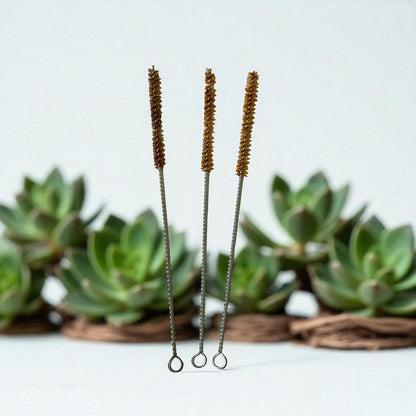 Coir Straw Cleaning Brush - Pack of 3